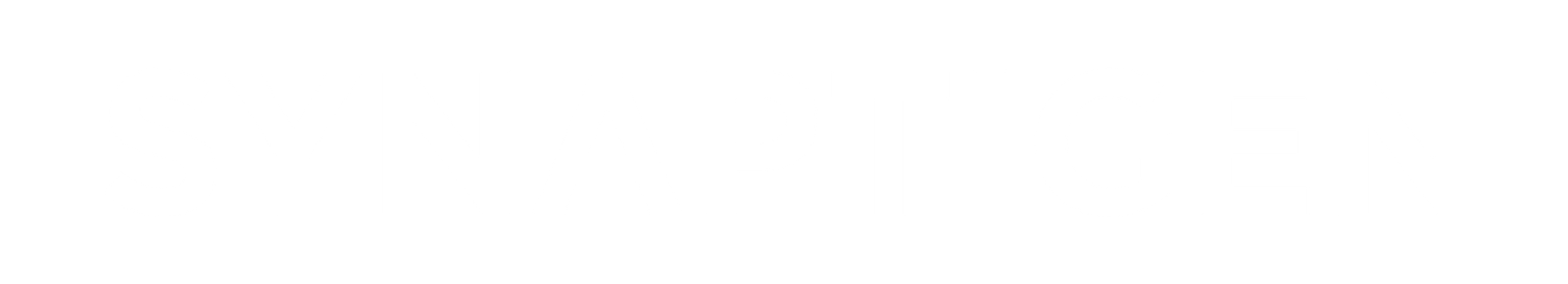 Synaptigen Supplement